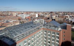 301671923_Arbor House_Blue Sea Development_2_tcm131-1848474