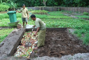 Vege garden bed 1 231110 014