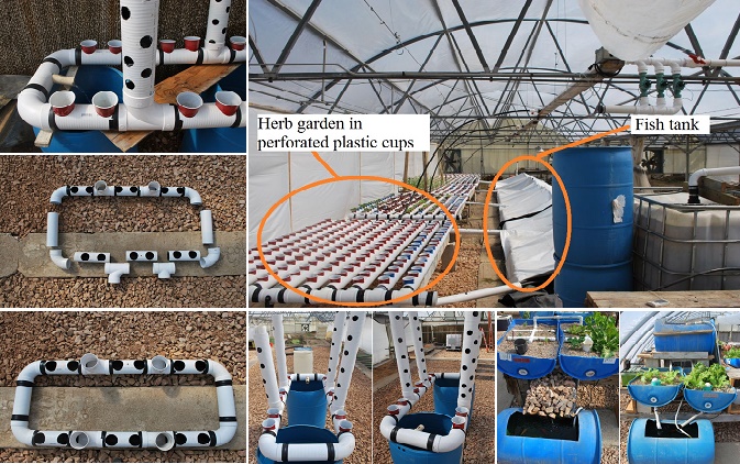 aquaponic-system