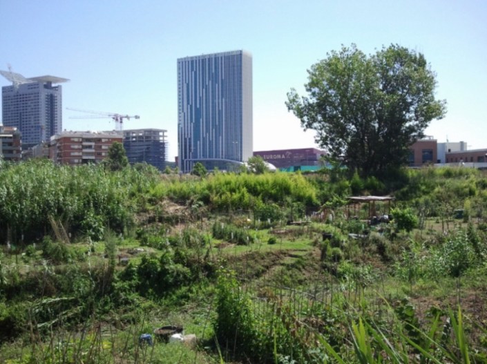 South-Rome-City-Farm