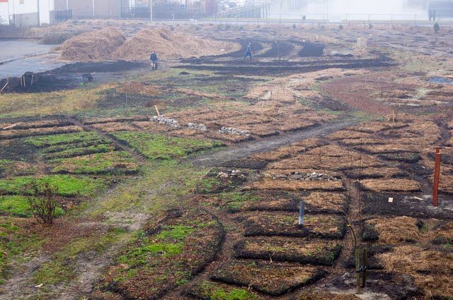 RotterdamUrbanAg_640_425_80